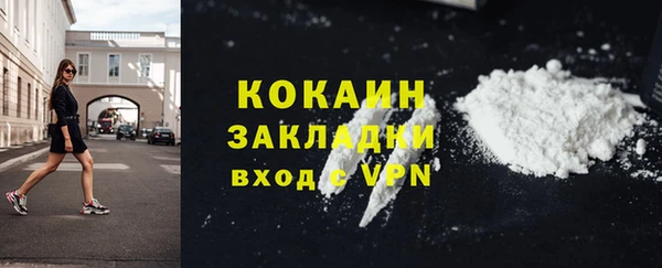 шишки Арсеньев