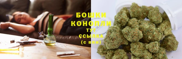 шишки Арсеньев
