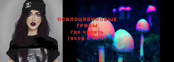 шишки Арсеньев
