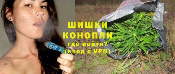 шишки Арсеньев