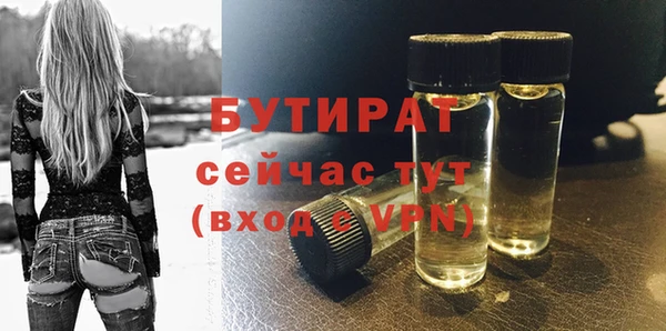 шишки Арсеньев