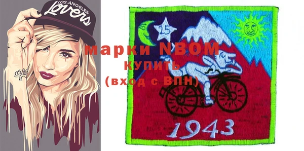 шишки Арсеньев