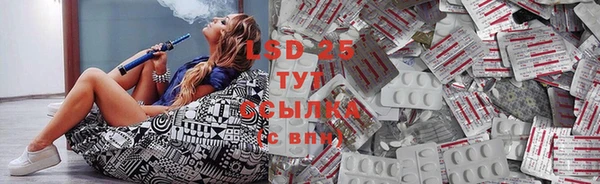 ПСИЛОЦИБИНОВЫЕ ГРИБЫ Армянск