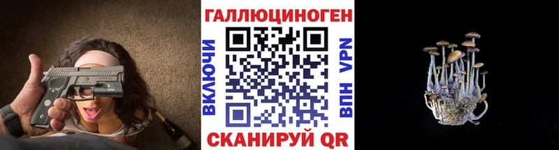 магазин продажи наркотиков  Светогорск  Псилоцибиновые грибы Psilocybine cubensis 