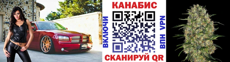 MEGA как войти  наркота  Светогорск  Канабис тримм 